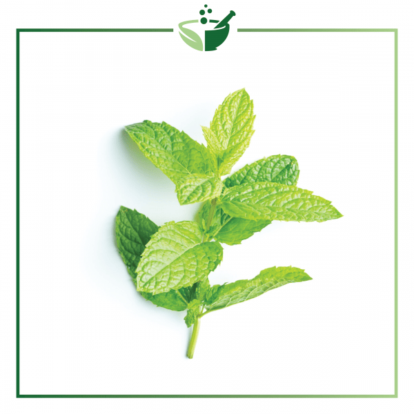 Peppermint Essential Oil-01